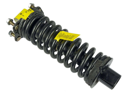 Moog Strut and Coil Spring Assembly