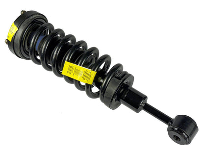 Moog Strut, Front,Twin-tube,Gas Charged,Ford,Each