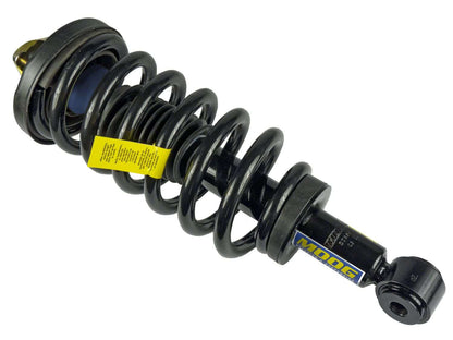 Moog Strut, Rear,Twin-tube,Gas Charged,Ford,Each