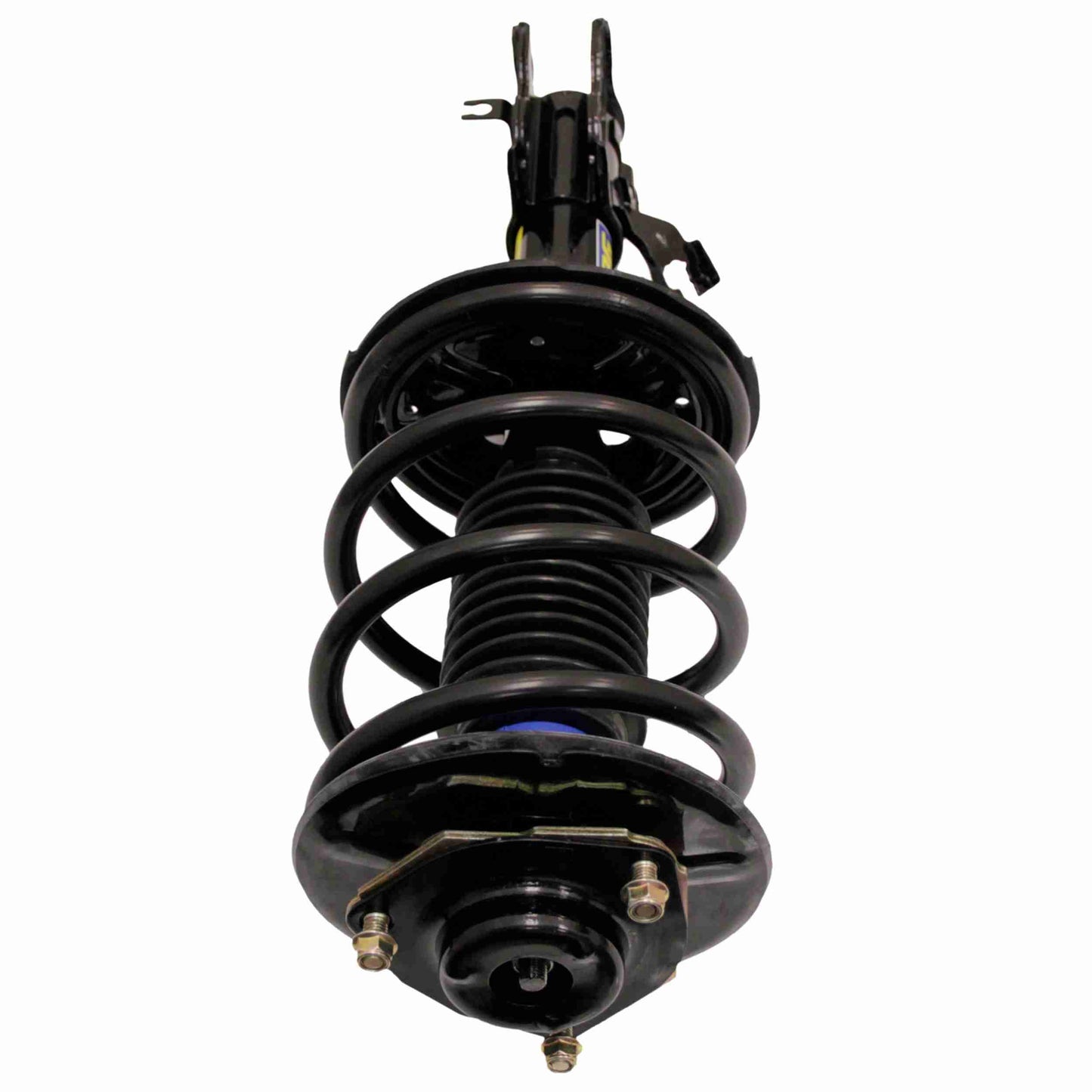 Moog Strut and Coil Spring Assembly