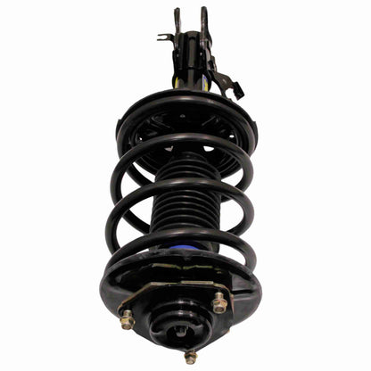Moog Strut and Coil Spring Assembly