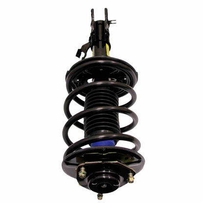 Moog Strut and Coil Spring Assembly