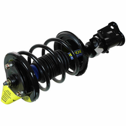 Moog Strut and Coil Spring Assembly