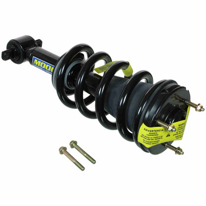 Moog Strut and Coil Spring Assembly