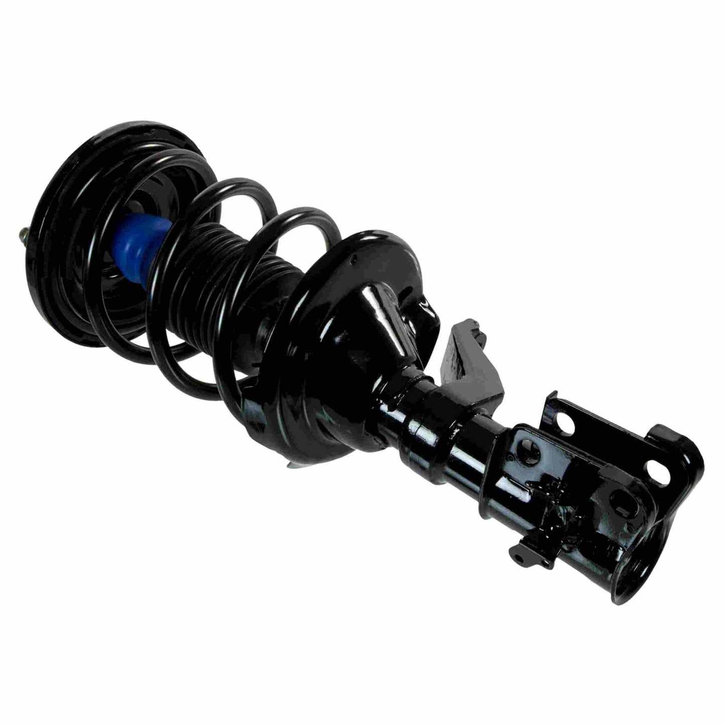 Moog Strut and Coil Spring Assembly
