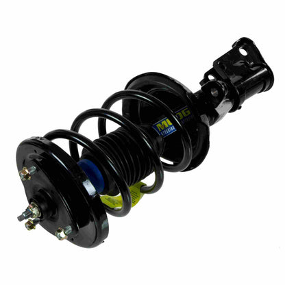 Moog Strut and Coil Spring Assembly