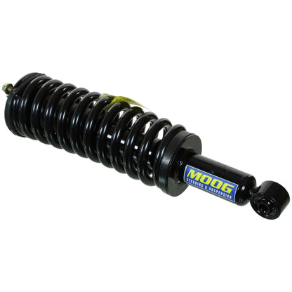 Moog Strut and Coil Spring Assembly