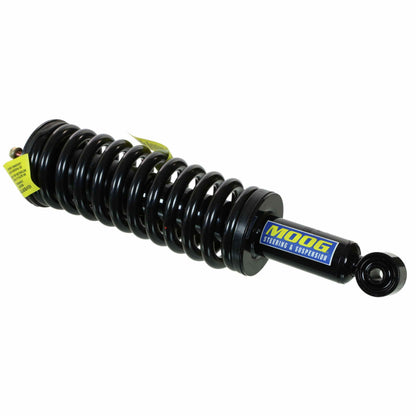 Moog Strut and Coil Spring Assembly
