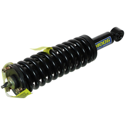 Moog Strut and Coil Spring Assembly