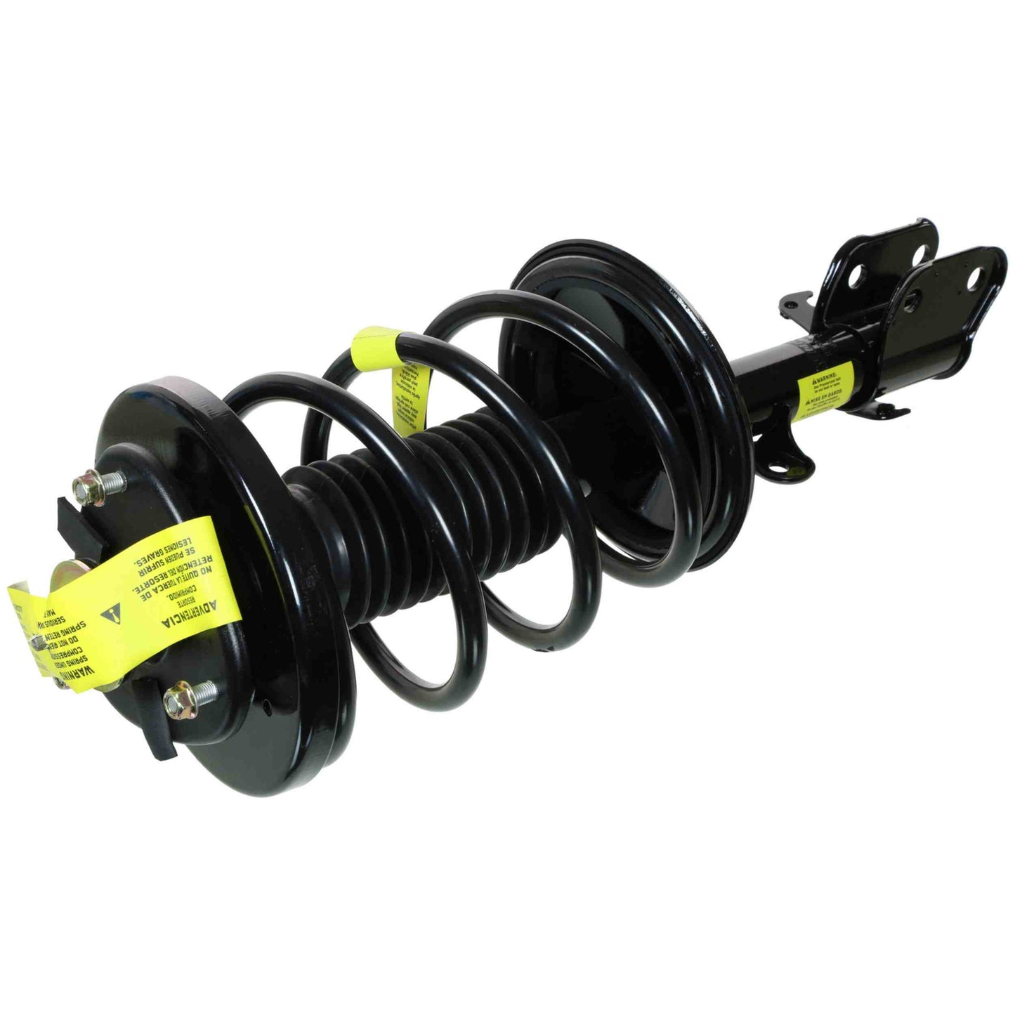 Moog Strut and Coil Spring Assembly