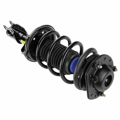 Moog Strut and Coil Spring Assembly