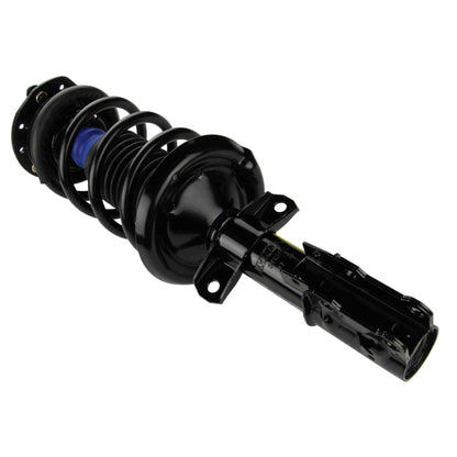 Moog Strut and Coil Spring Assembly