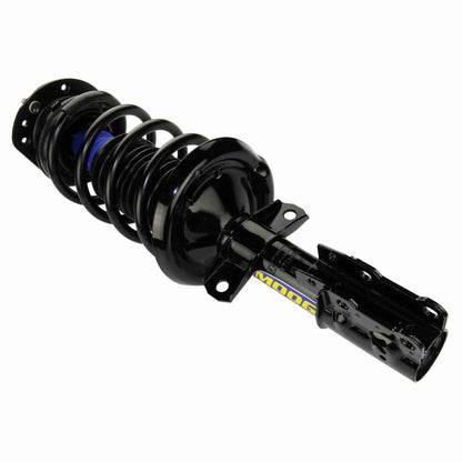Moog Strut and Coil Spring Assembly