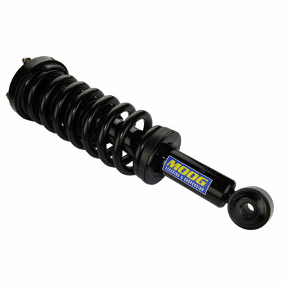 Moog Strut and Coil Spring Assembly