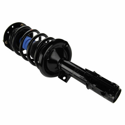 Moog Strut and Coil Spring Assembly:Strut Assembly