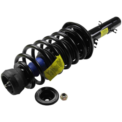 Moog Strut and Coil Spring Assembly