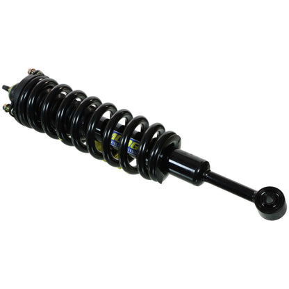 Moog Strut and Coil Spring Assembly