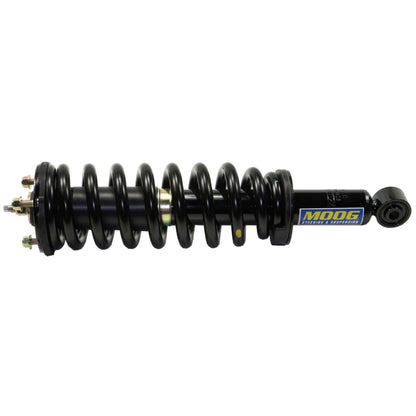 Moog Strut and Coil Spring Assembly