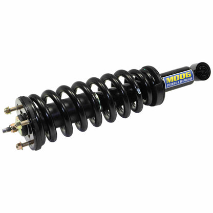 Moog Strut and Coil Spring Assembly