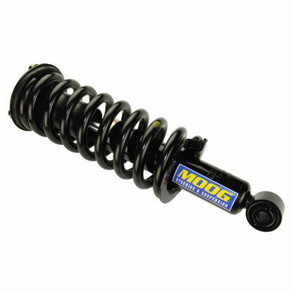 Moog Strut and Coil Spring Assembly