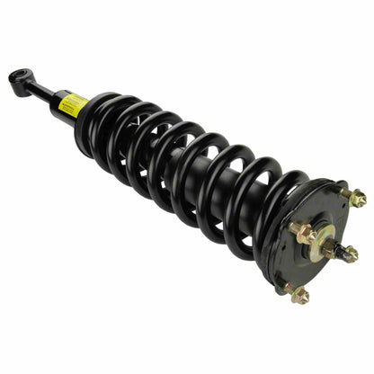 Moog Strut and Coil Spring Assembly