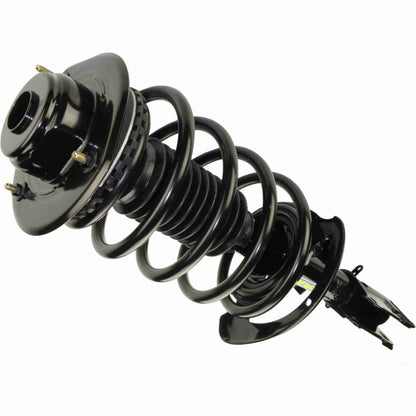Moog Strut and Coil Spring Assembly