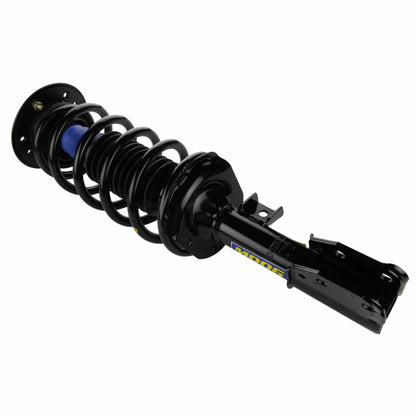 Moog Strut and Coil Spring Assembly