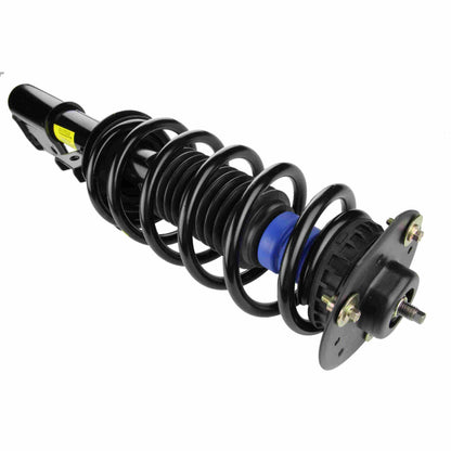 Moog Strut and Coil Spring Assembly