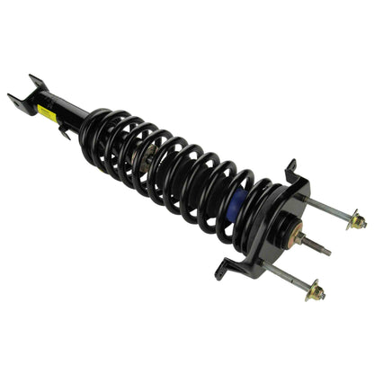 Moog Strut and Coil Spring Assembly