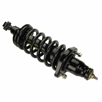 Moog Strut and Coil Spring Assembly