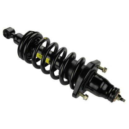 Moog Strut and Coil Spring Assembly