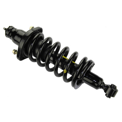 Moog Strut and Coil Spring Assembly