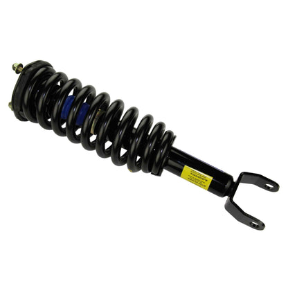 Moog Strut and Coil Spring Assembly