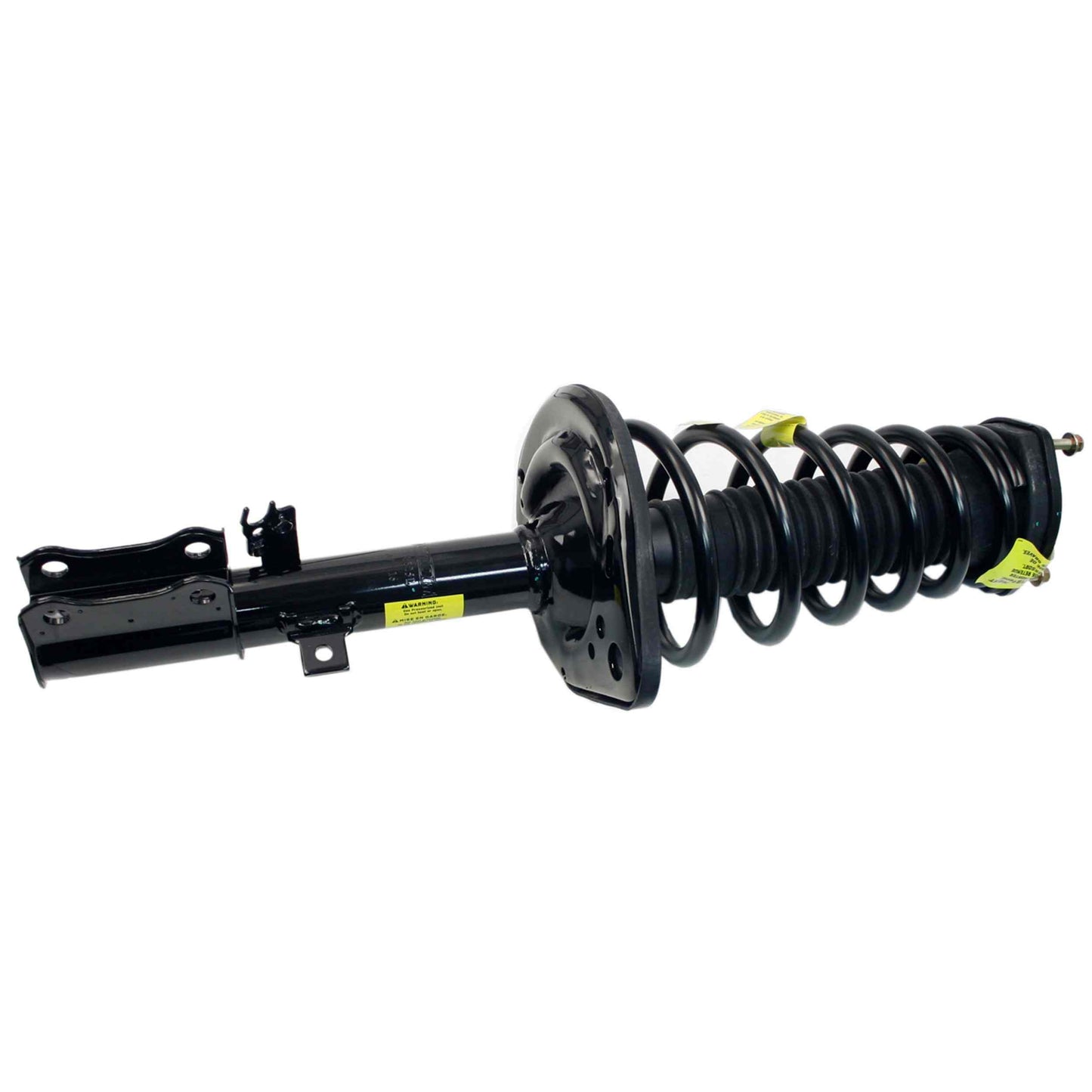 Moog Strut and Coil Spring Assembly