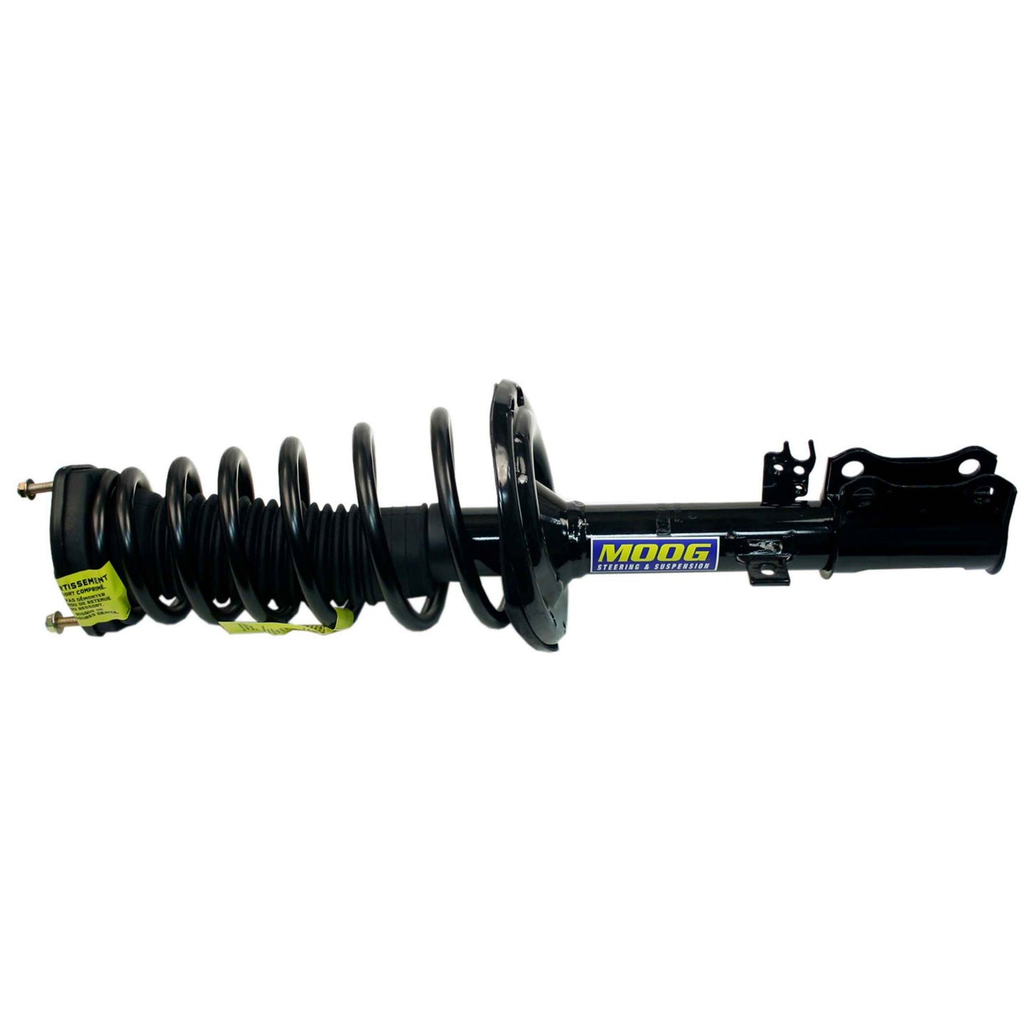 Moog Strut and Coil Spring Assembly