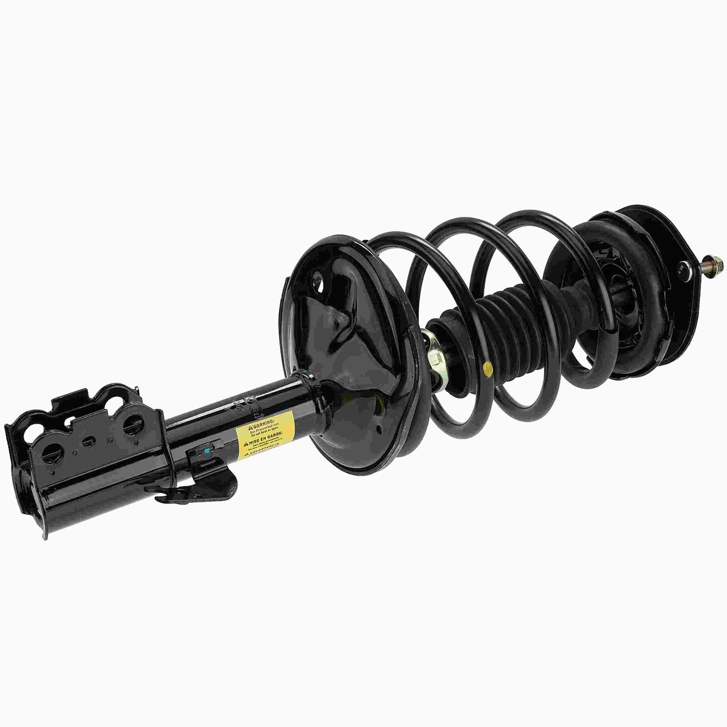 Moog Strut and Coil Spring Assembly