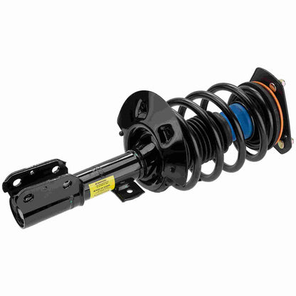 Moog Strut and Coil Spring Assembly