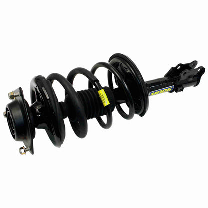 Moog Strut and Coil Spring Assembly