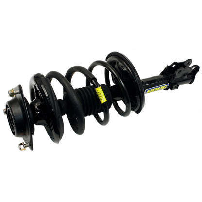 Moog Strut and Coil Spring Assembly