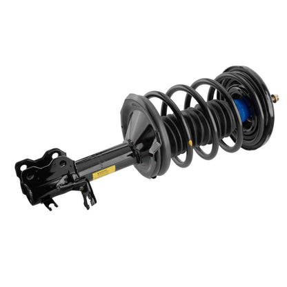 Moog Strut and Coil Spring Assembly