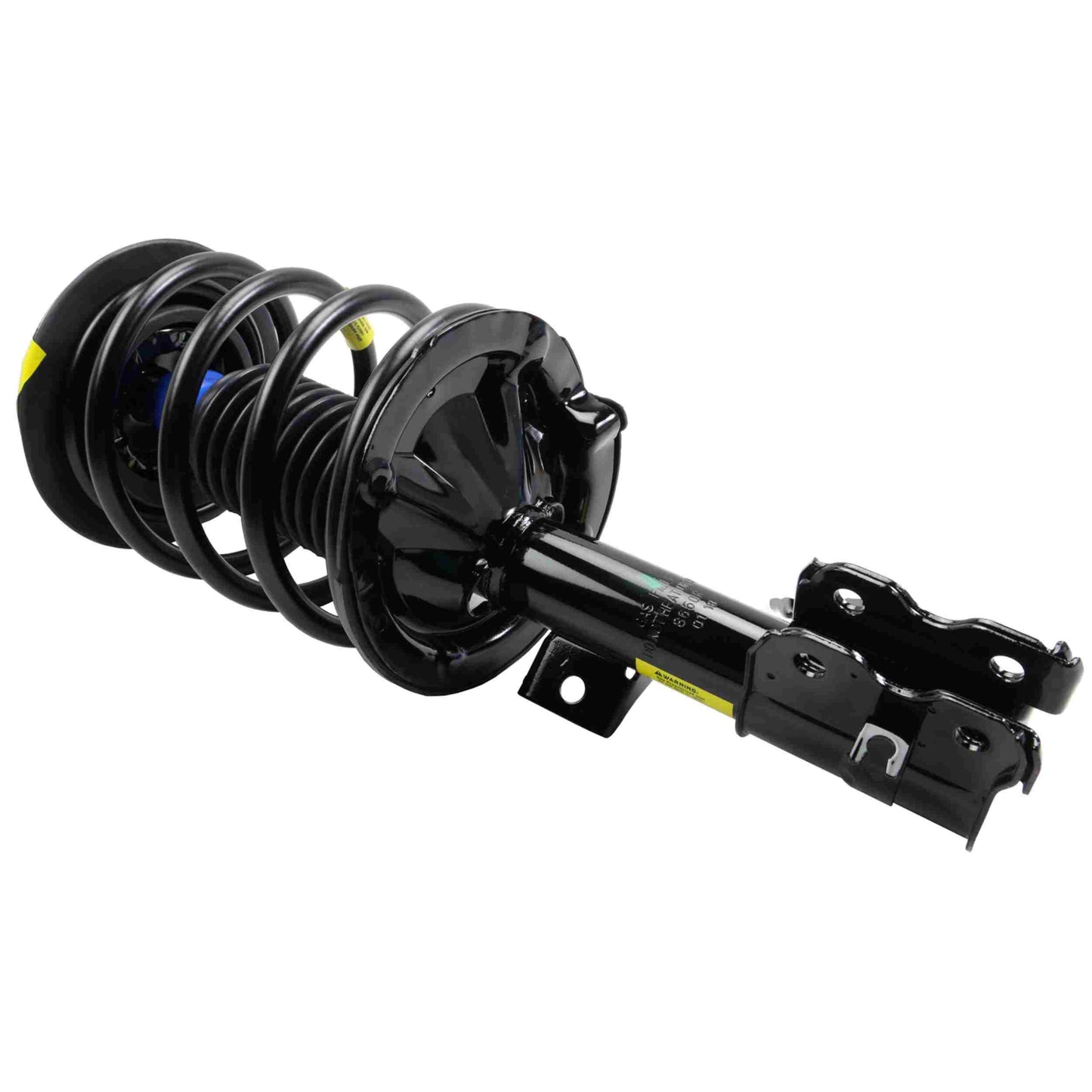 Moog Strut and Coil Spring Assembly