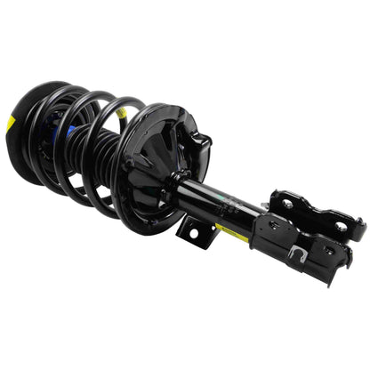 Moog Strut and Coil Spring Assembly