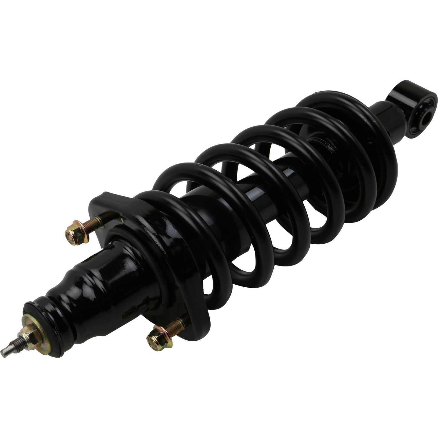 Moog Strut and Coil Spring Assembly