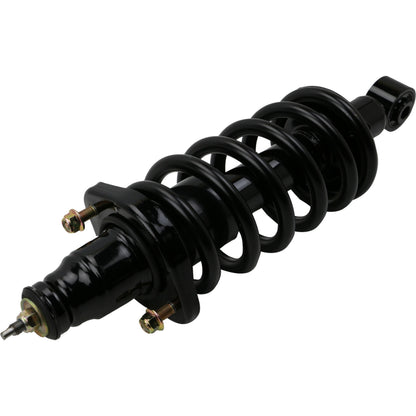 Moog Strut and Coil Spring Assembly