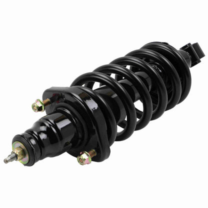 Moog Strut and Coil Spring Assembly