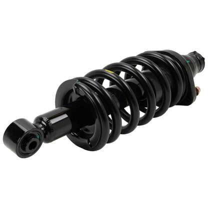 Moog Strut and Coil Spring Assembly