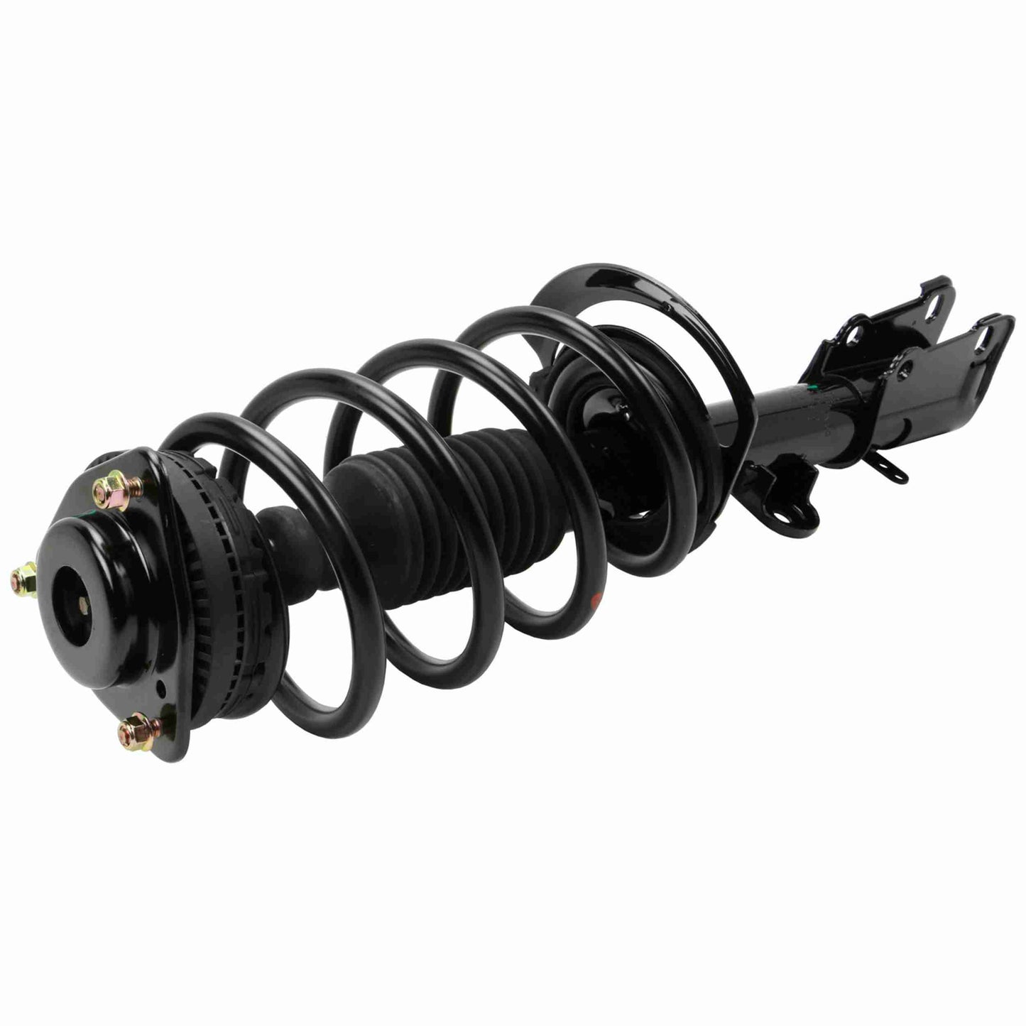 Moog Strut and Coil Spring Assembly