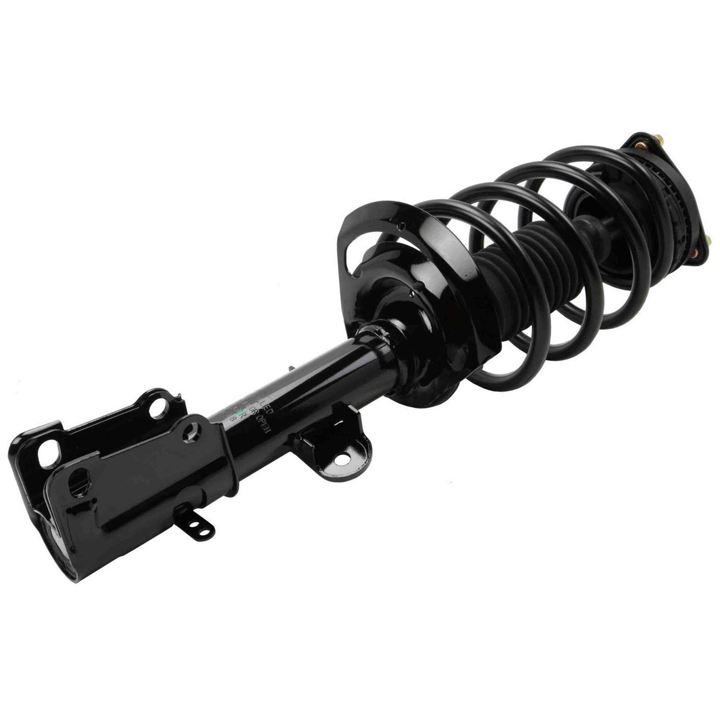 Moog Strut and Coil Spring Assembly