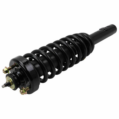 Moog Strut and Coil Spring Assembly