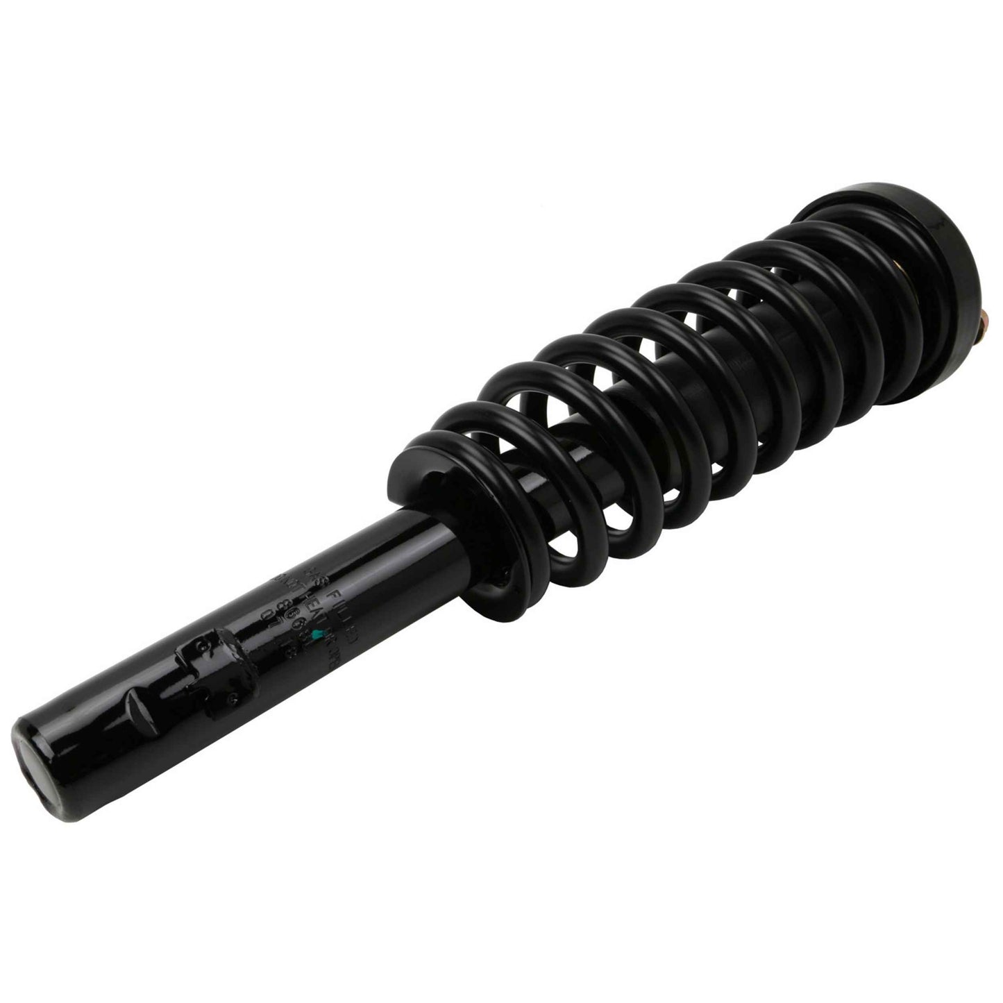 Moog Strut and Coil Spring Assembly